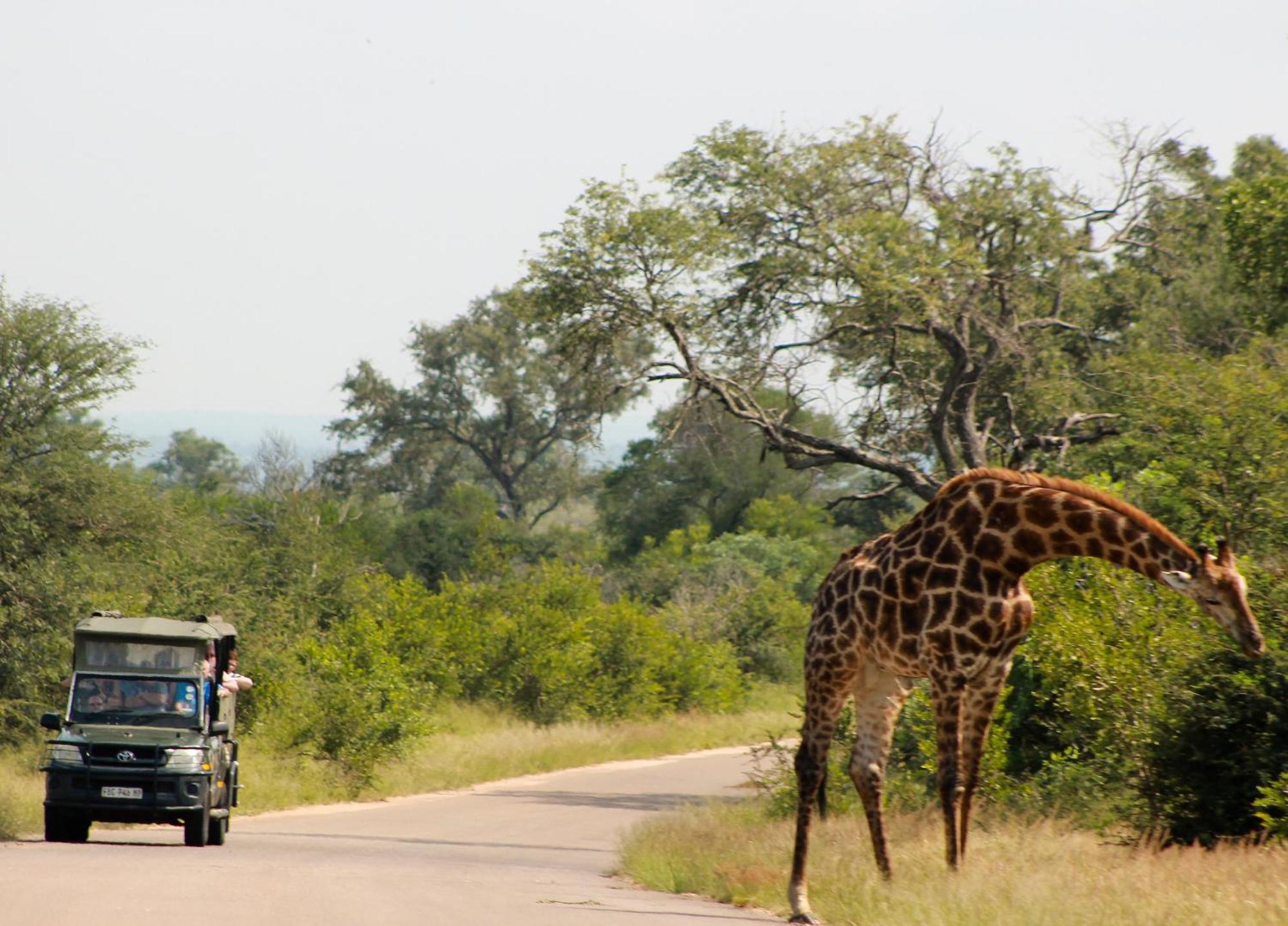 Aha Skukuza Safari Lodge Buitenkant foto