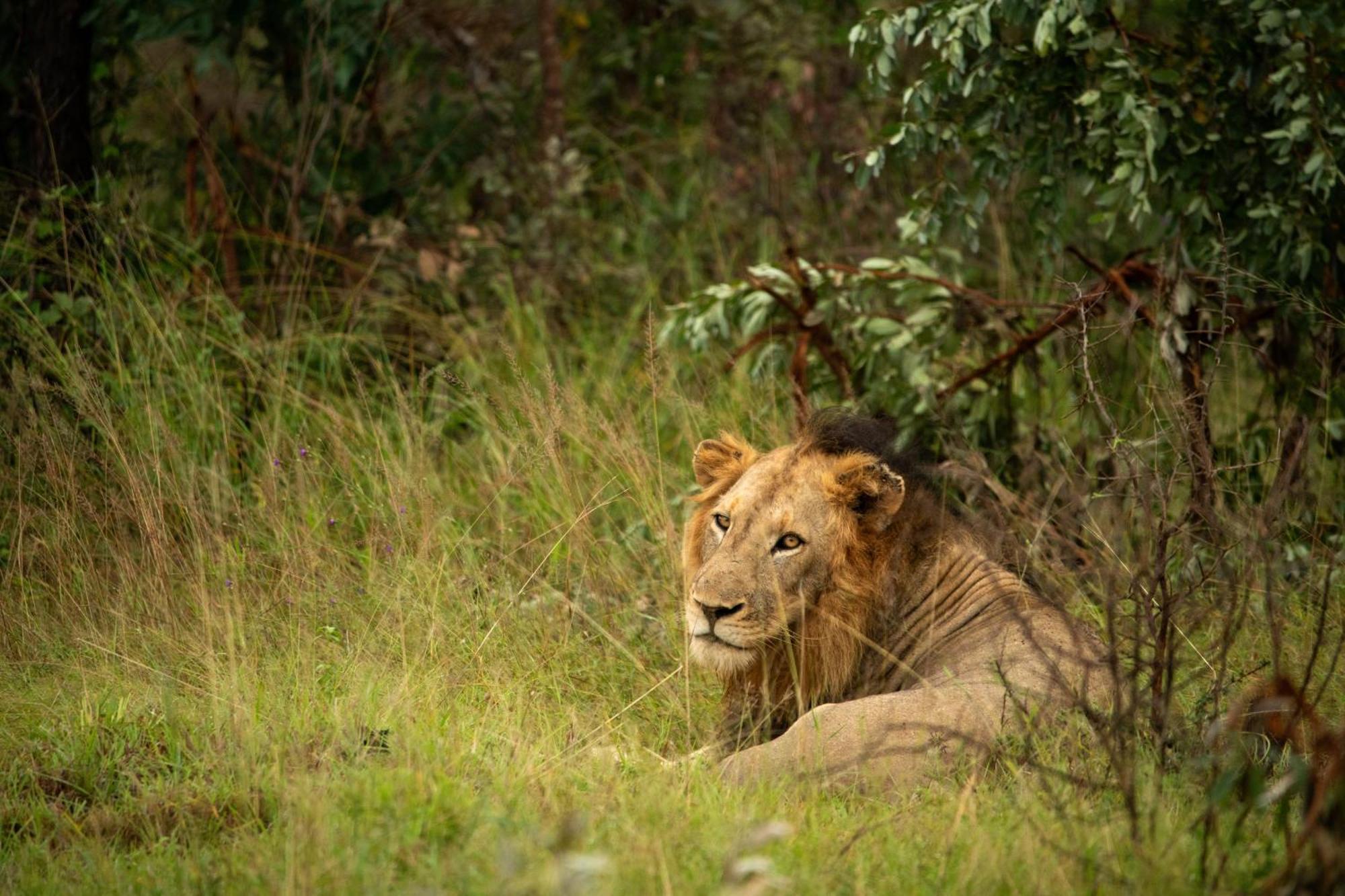 Aha Skukuza Safari Lodge Buitenkant foto